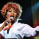 Simply the best - die Tina Turner Story als Musical