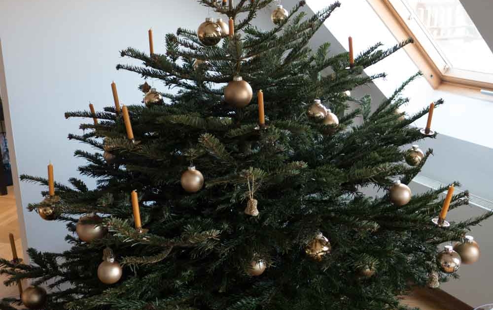 Weihnachtsbaum kaufen oder online bestellen